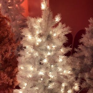 On hold for Brichuu ✨